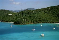 view of Maho Bay Camps