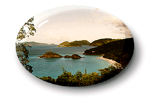 Trunk Bay on St.Johnusvi.com.  The vacation paradise in the US Virgin Islands (USVI) in the carribean