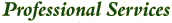 Professional Services